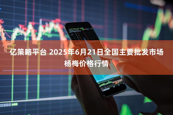亿策略平台 2025年6月21日全国主要批发市场杨梅价格行情
