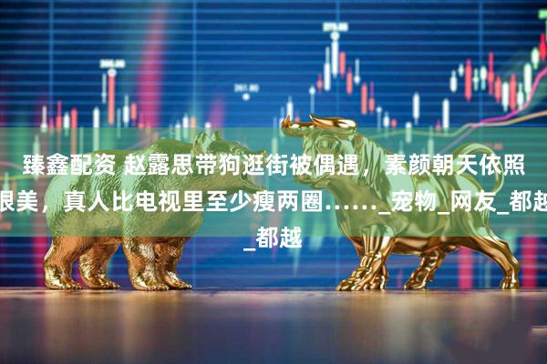 臻鑫配资 赵露思带狗逛街被偶遇，素颜朝天依照很美，真人比电视里至少瘦两圈……_宠物_网友_都越