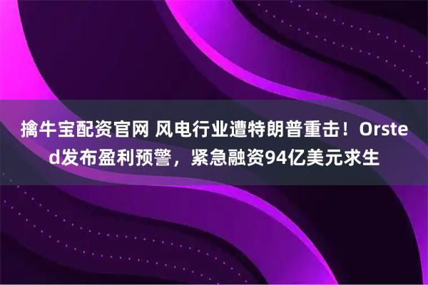 擒牛宝配资官网 风电行业遭特朗普重击！Orsted发布盈利预警，紧急融资94亿美元求生