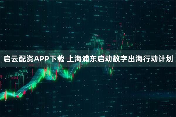 启云配资APP下载 上海浦东启动数字出海行动计划